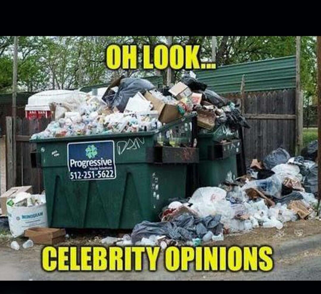 OH LOOK... CELEBRITY OPINIONS
