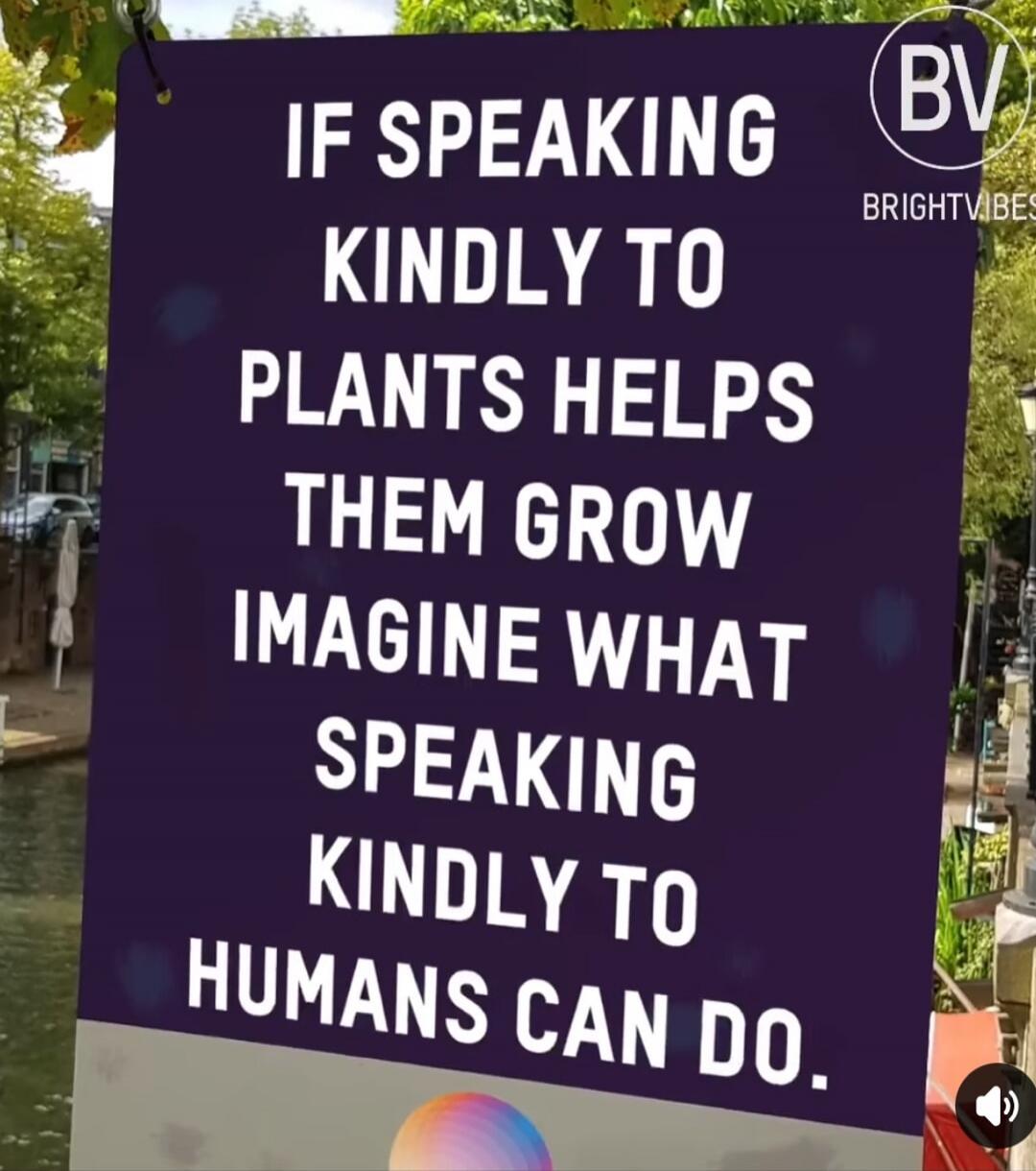 IF SPEAKING KINDLY TO PLANTS HELPS THEM GROW IMAGINE WHAT SPEAKING KINDLY TO HUMANS CAN DO. BV BRIGHTVIBES