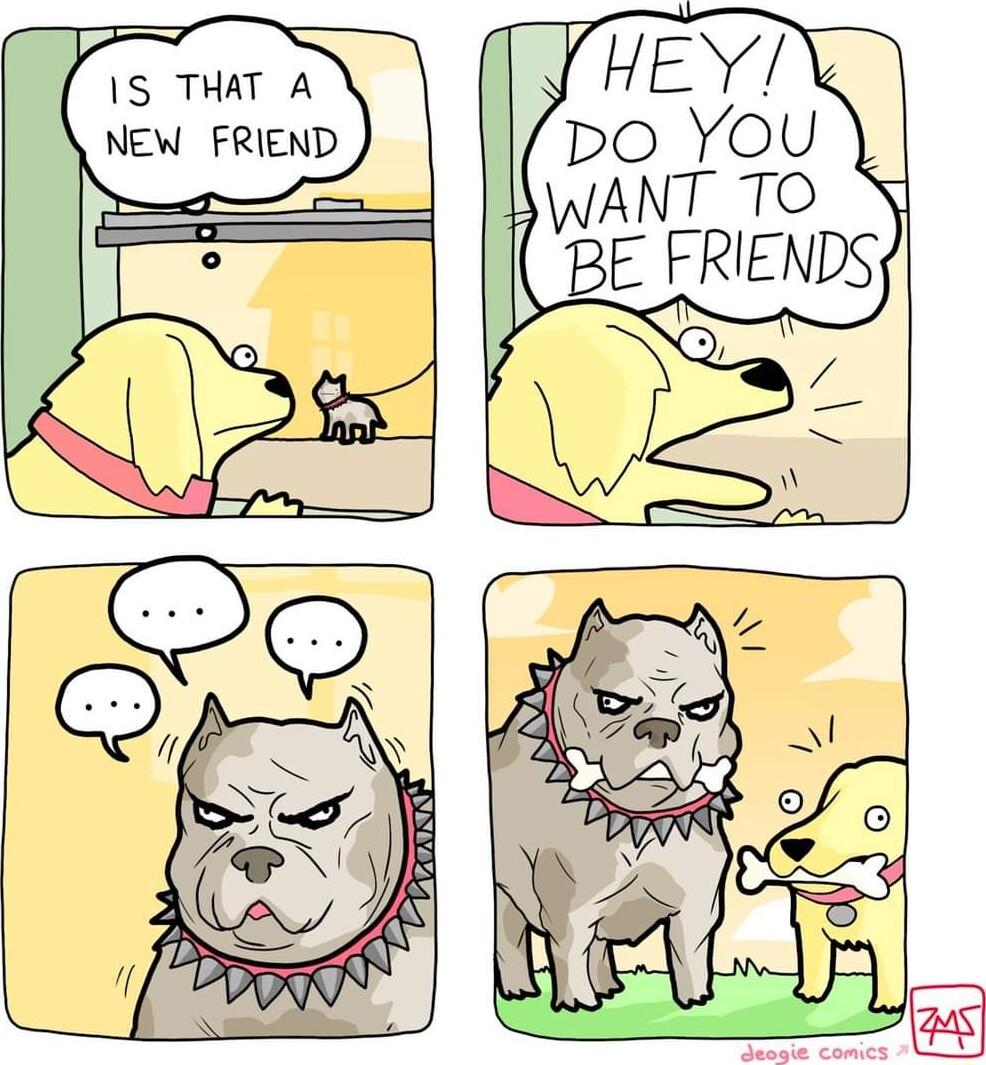 o IS THAT A NEW FRIEND