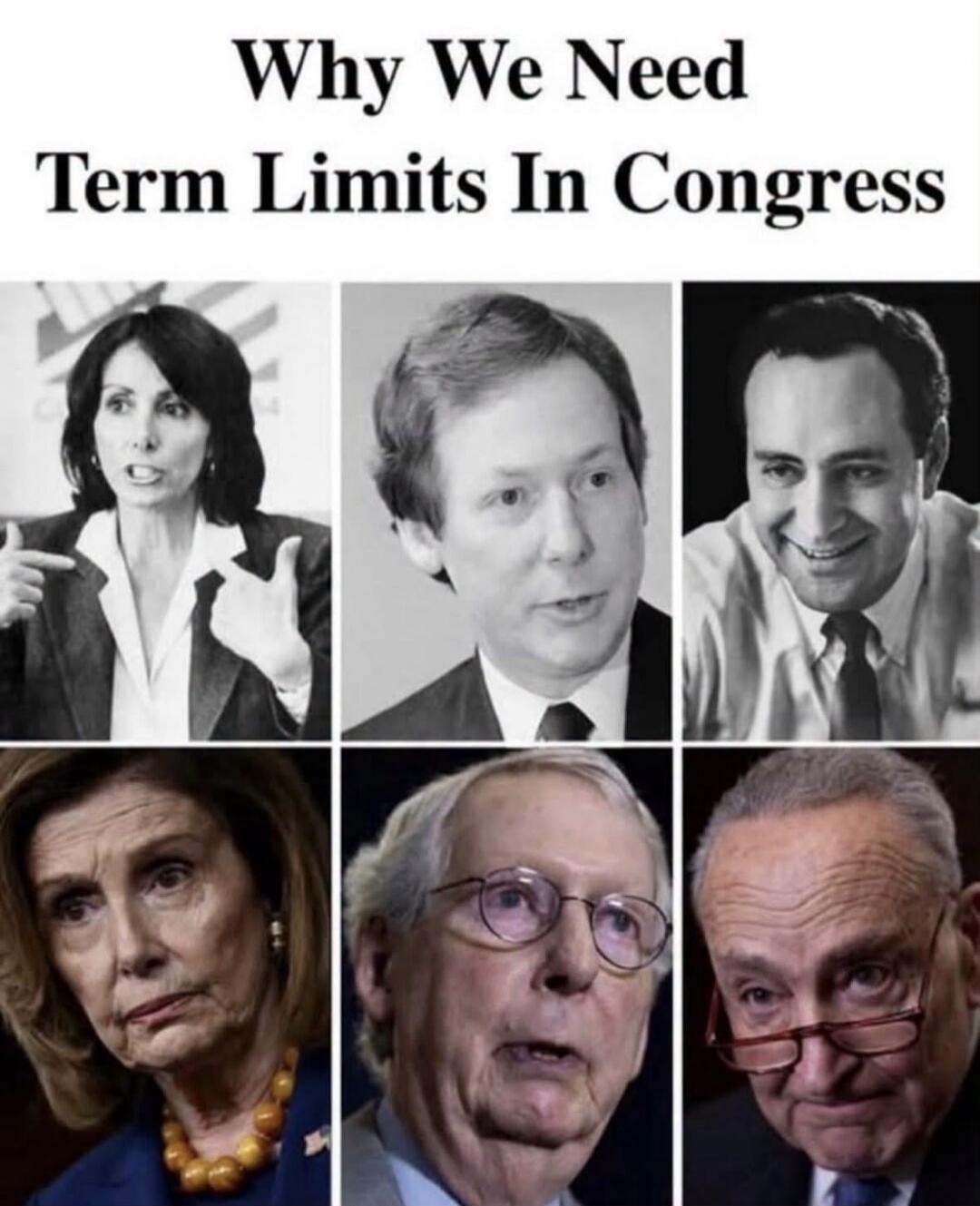 Why We Need Term Limits In Congress