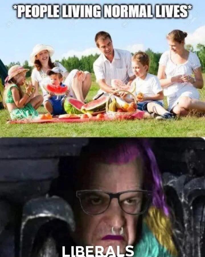 *PEOPLE LIVING NORMAL LIVES*
LIBERALS