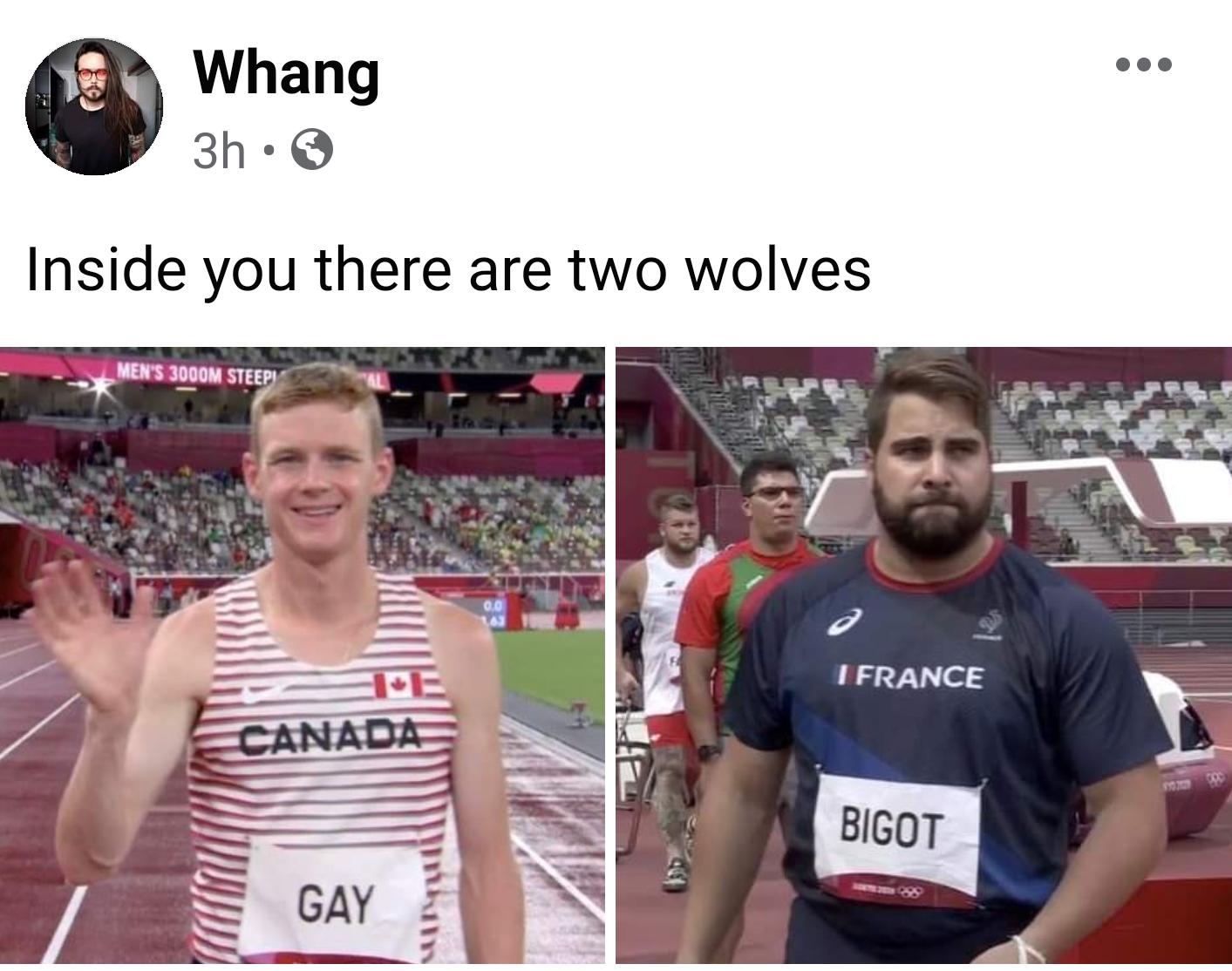 Whang 3h Q Inside you there are two wolves