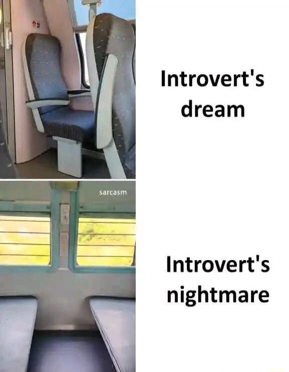 Introvert's dream. Sarcasm. Introvert's nightmare.