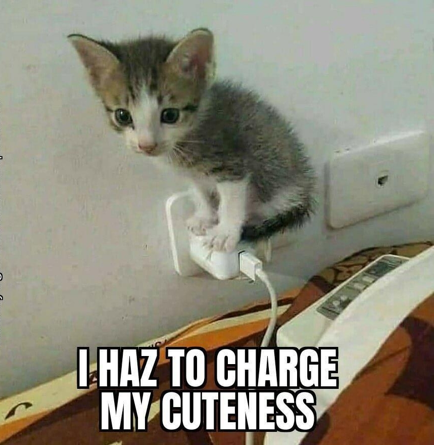 WAz e CHARGE MY CUTENESS