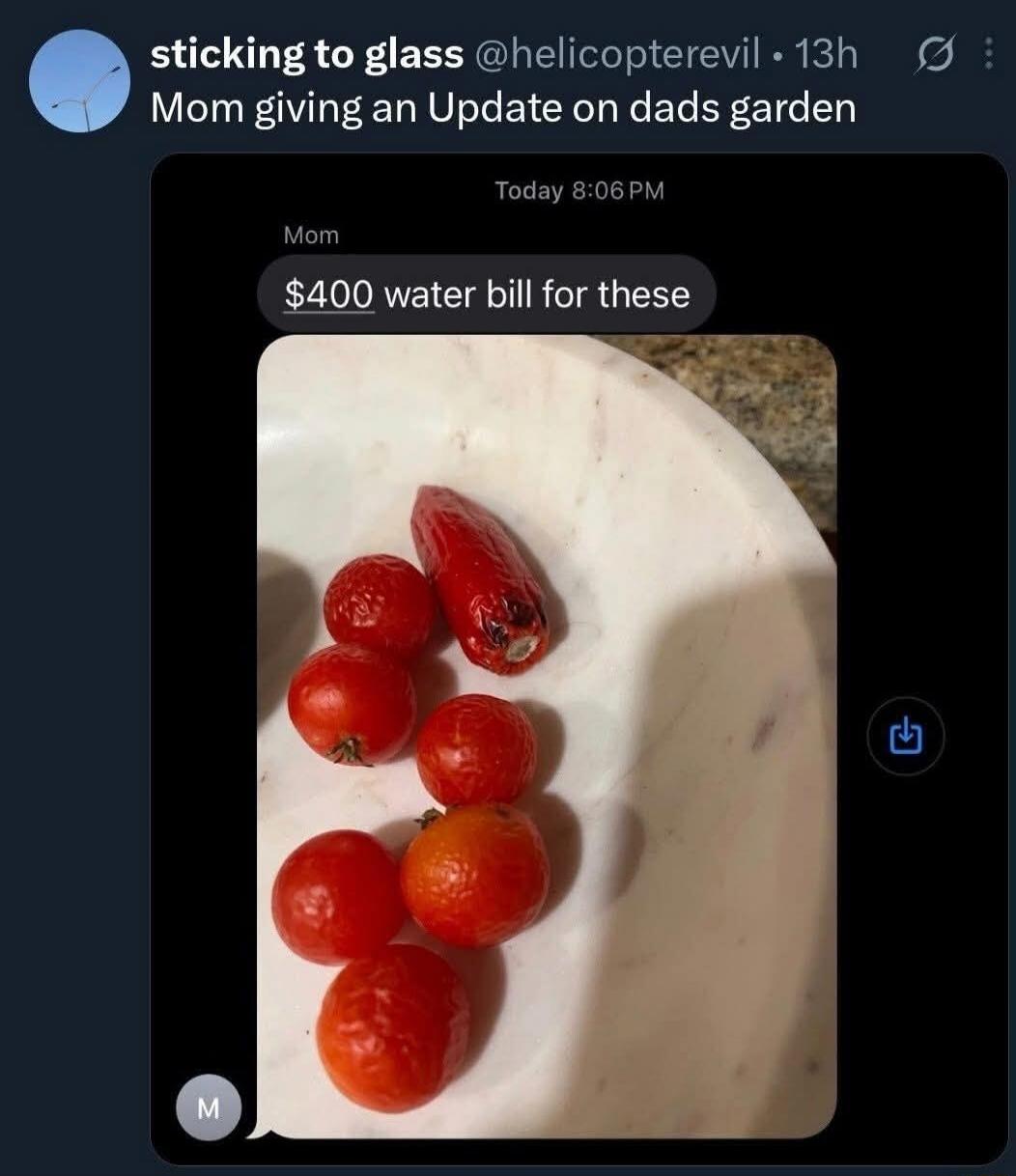 sticking to glass @helicopterevil • 13h Mom giving an Update on dads garden. Mom Today 8:06 PM $400 water bill for these. The image shows a small plate with a few small red fruits, resembling cherry tomatoes and a small red pepper.