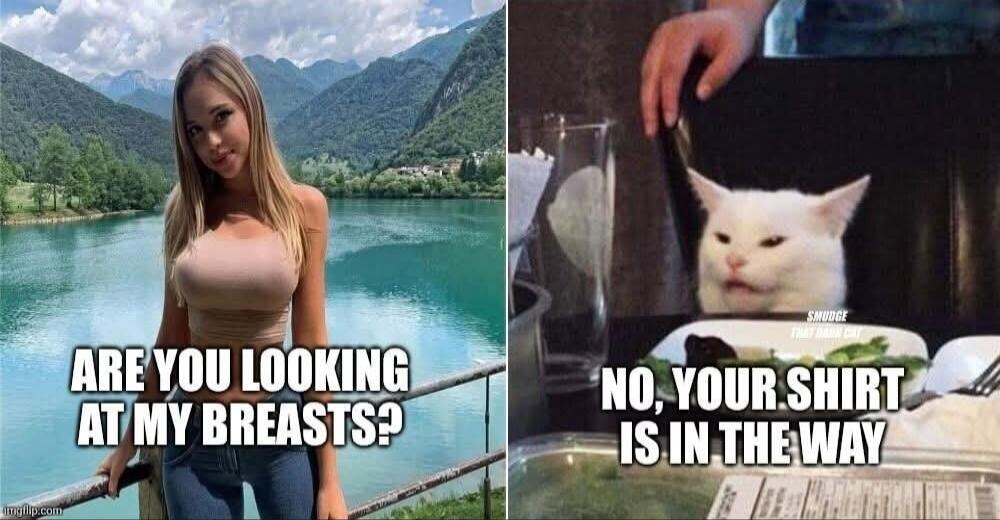 ARE YOU LOOKING AT MY BREASTS? NO, YOUR SHIRT IS IN THE WAY