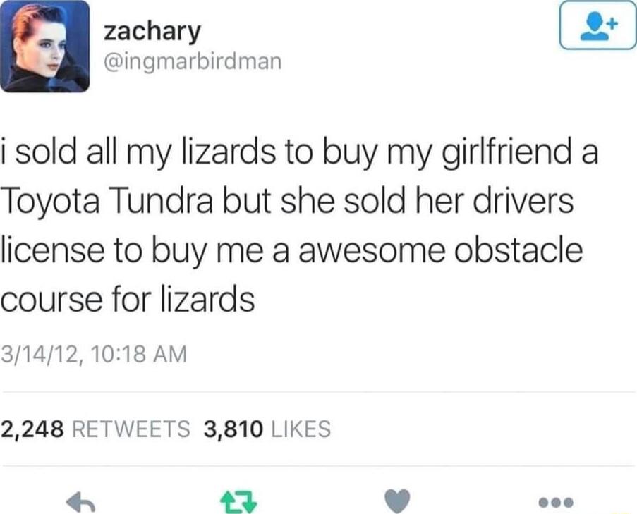 zachary ingmarbirdman i sold all my lizards to buy my girlfriend a Toyota Tundra but she sold her drivers license to buy me a awesome obstacle course for lizards 314121018 AM 2248 RETWEETS 3810 LIKES 3 v oo