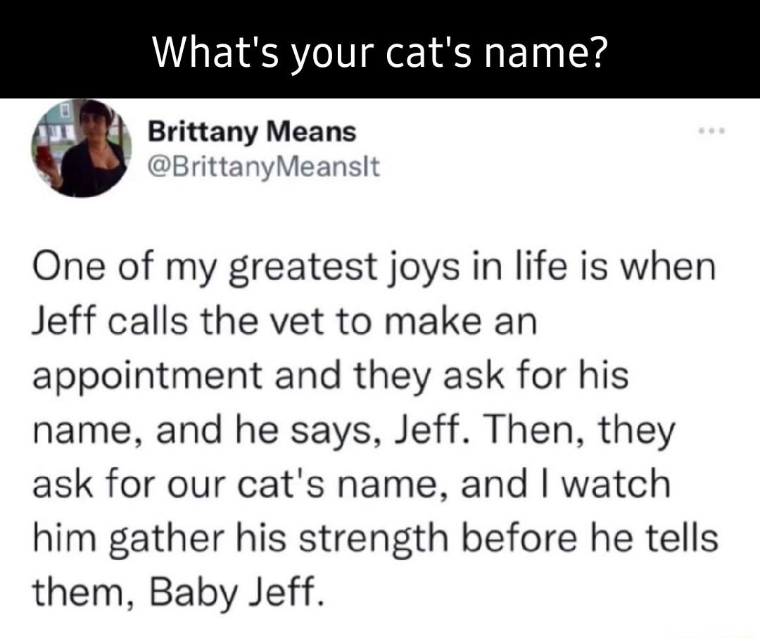 Whats your cats name 418 Brittany Means DBrittanyMeans One of my greatest joys in life is when Jeff calls the vet to make an appointment and they ask for his name and he says Jeff Then they ask for our cats name and watch him gather his strength before he tells them Baby Jeff