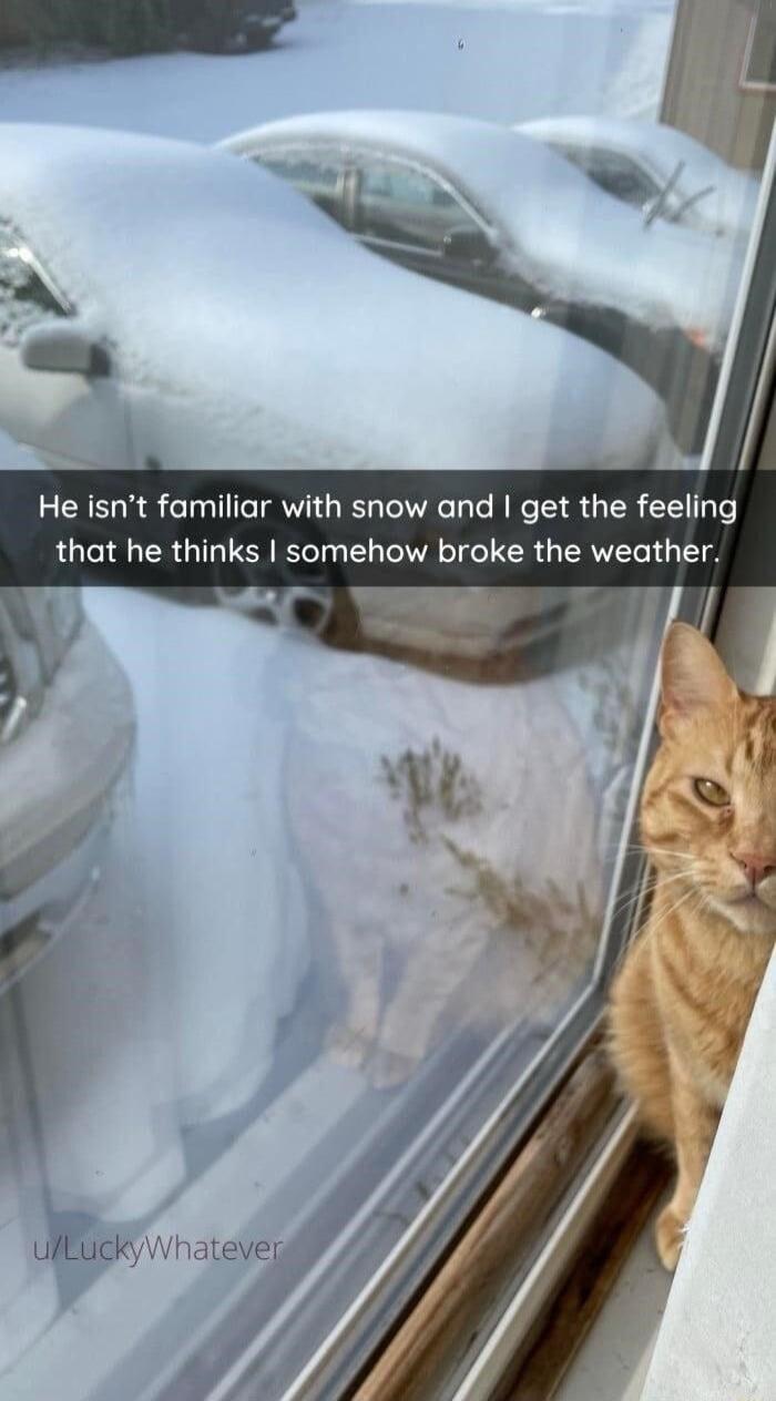 2 CRETR S Tl TR IS R TR RN T S R T e that he thinks somehow broke the weather