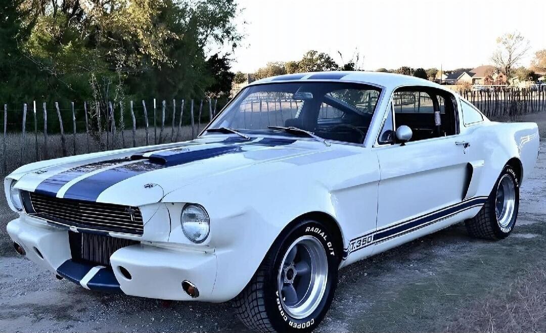 RADIAL G/T T.350 COOPER COBRA