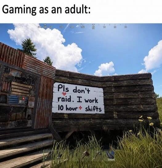 Gaming as an adult: Pls don't raid. I work 10 hour+ shifts