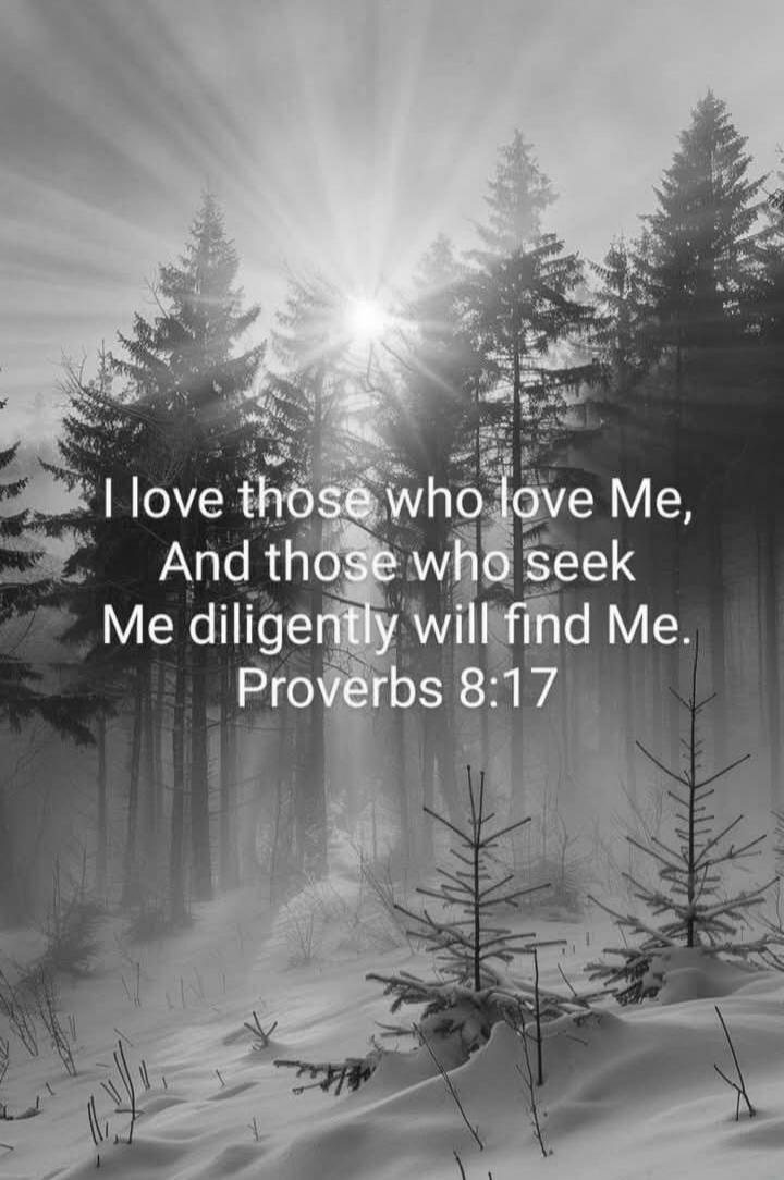I love those who love Me, And those who seek Me diligently will find Me. Proverbs 8:17
