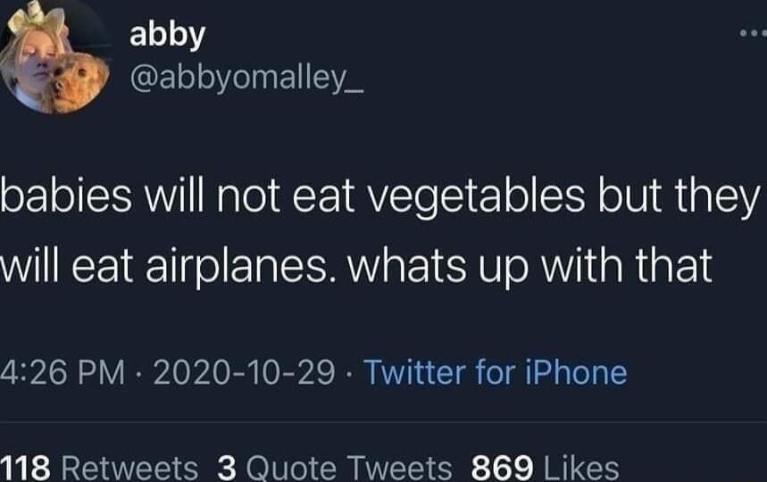 EL1T FeoeTsF11VN babies will not eat vegetables but they will eat airplanes whats up with that 426 PM 2020 10 29 Twitter for iPhone 118 Retweets 3 Quote Tweets 869 Likes