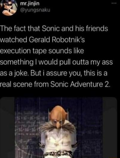 mrjinjin yungsnaku The fact that Sonic and his friends watched Gerald Robotniks execution tape sounds like something would pull outta my ass as a joke But i assure you this is a real scene from Sonic Adventure 2