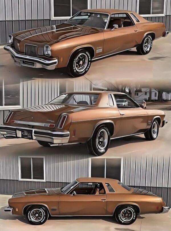 Session ID: 1061895.