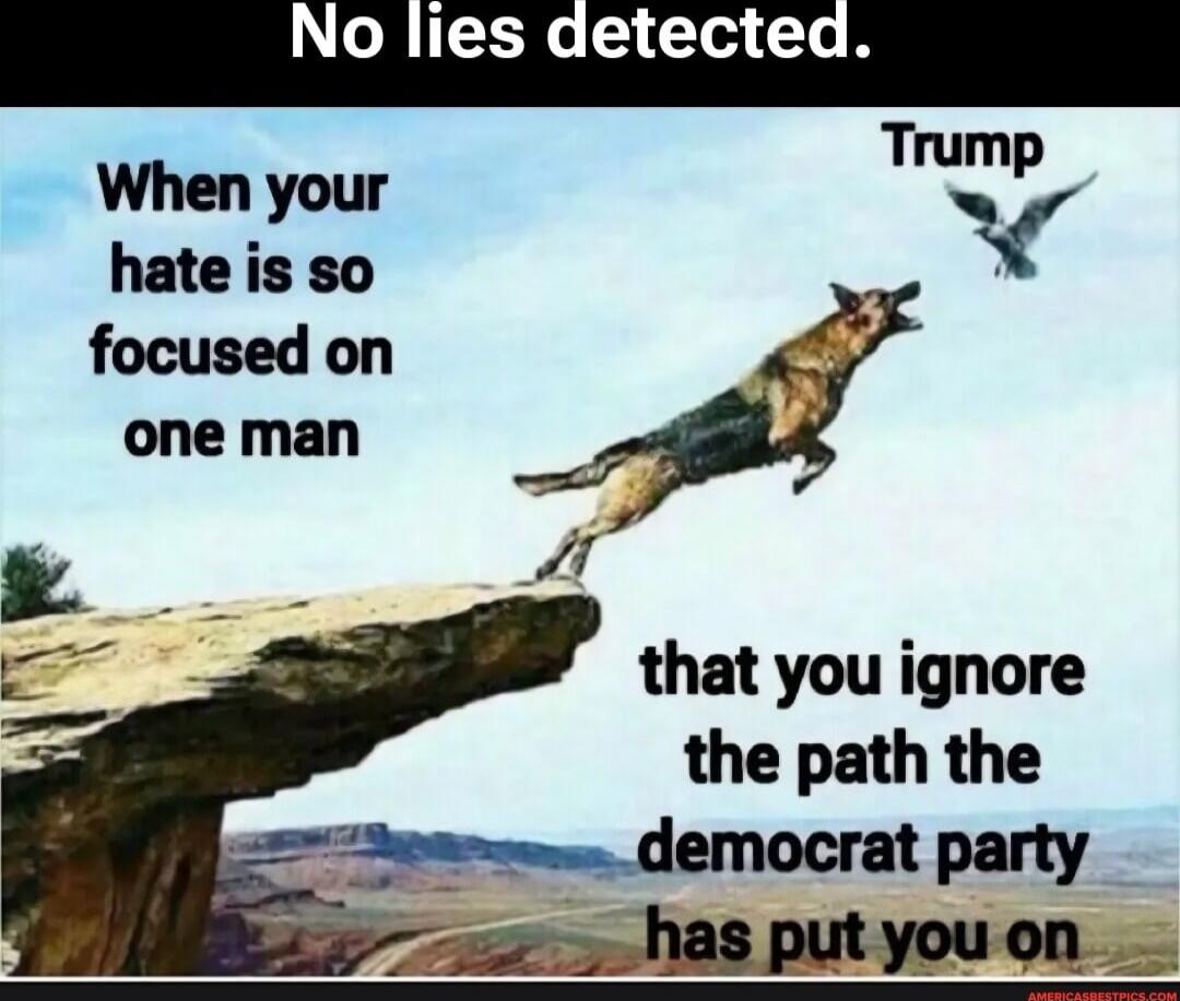 No lies detected.
When your hate is so focused on one man that you ignore the path the democrat party has put you on