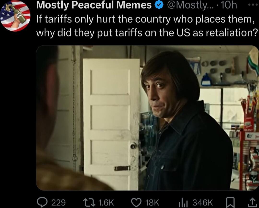 45 Mostly Peaceful Memes Mostly 10h If tariffs only hurt the country who places them why did they put tariffs on the US as retaliation Q229 1116k Q18K