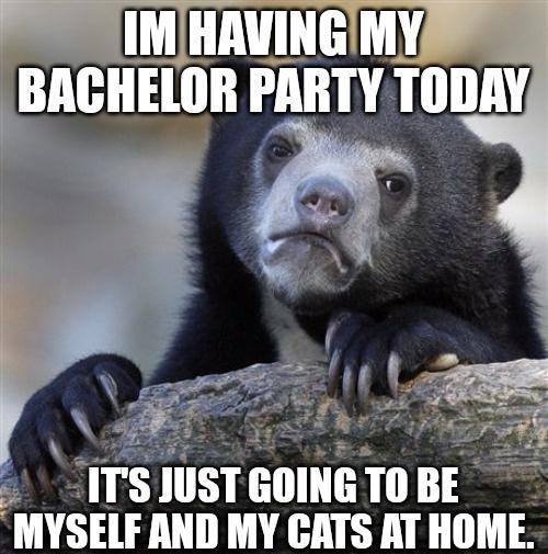 IM HAVINGMY BACHELOR PARTY TODAY TS JUSTGOING TO B ELF AND MY CATS AT HOME