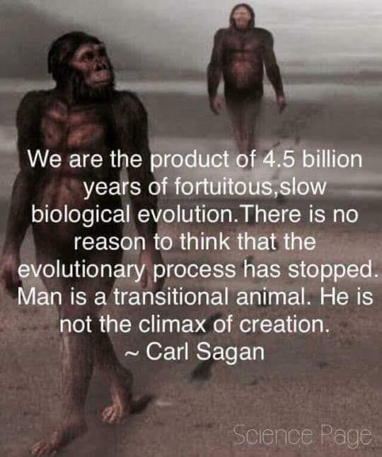 We are the years of fortuitousslow elfolloTe tz 1 IYo V fo W g TT R R4 6 reason to think mt olutionary process has stopped Jan is a transitional animal He is not the climax of creation Carl Sagan Seience Page