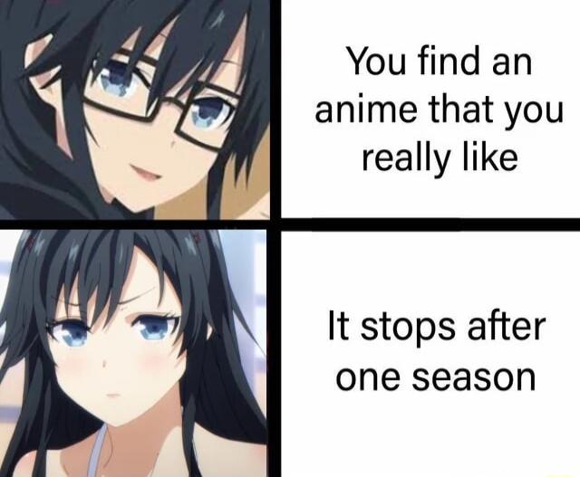 You find an anime that you really like It stops after one season