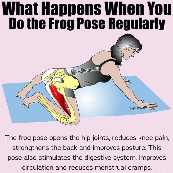 What Happens When You Do the Frog Pose Regularly The frog pose opens the hip joints reduces knee pain strengthens the back and improves posture This pose also stimulates the digestive system improves circulation and reduces menstrual cramps