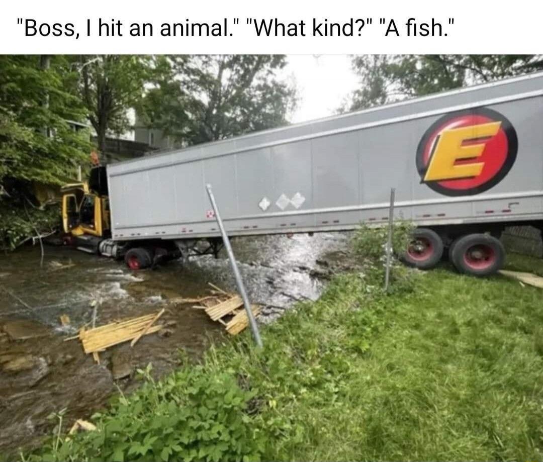 Boss, I hit an animal. What kind? A fish.