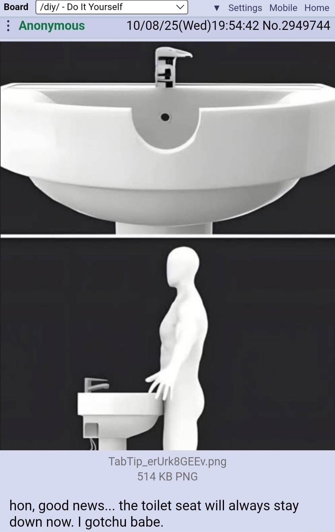 hon, good news... the toilet seat will always stay down now. I gotchu babe.