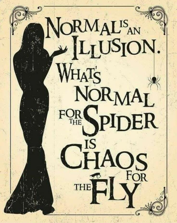 Normal is an illusion. What's normal for the spider is chaos for the fly.