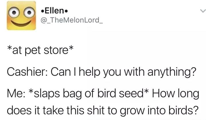 oEllene _TheMelonLord_ at pet store Cashier Can help you with anything Me slaps bag of bird seed How long does it take this shit to grow into birds