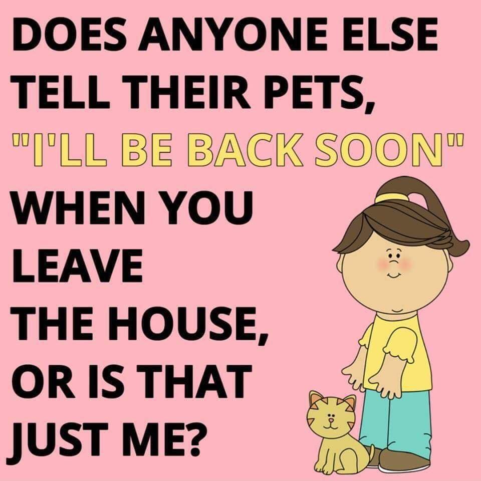 DOES ANYONE ELSE TELL THEIR PETS L BE BACK SOON WHEN YOU LEAVE THE HOUSE OR IS THAT JUST ME