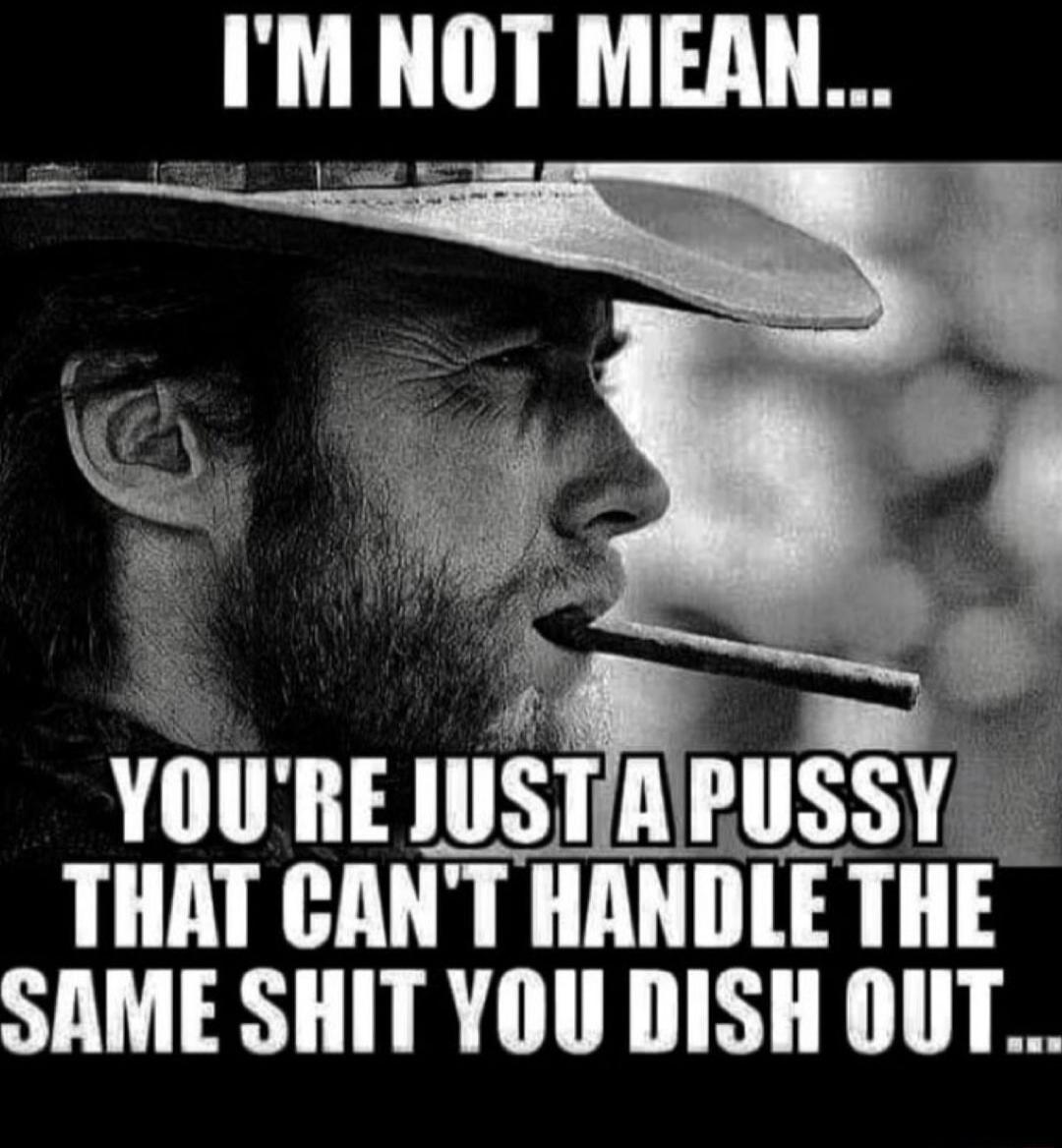 I'M NOT MEAN... YOU'RE JUST A PUSSY THAT CAN'T HANDLE THE SAME SHIT YOU DISH OUT...