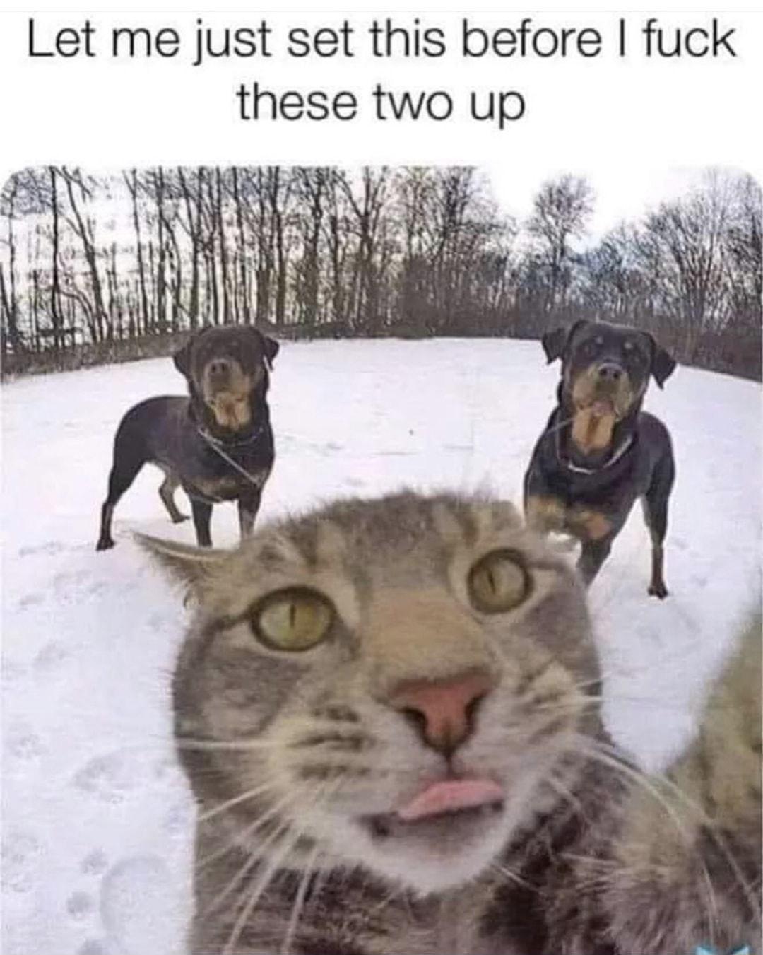 Let me just set this before fuck these two up