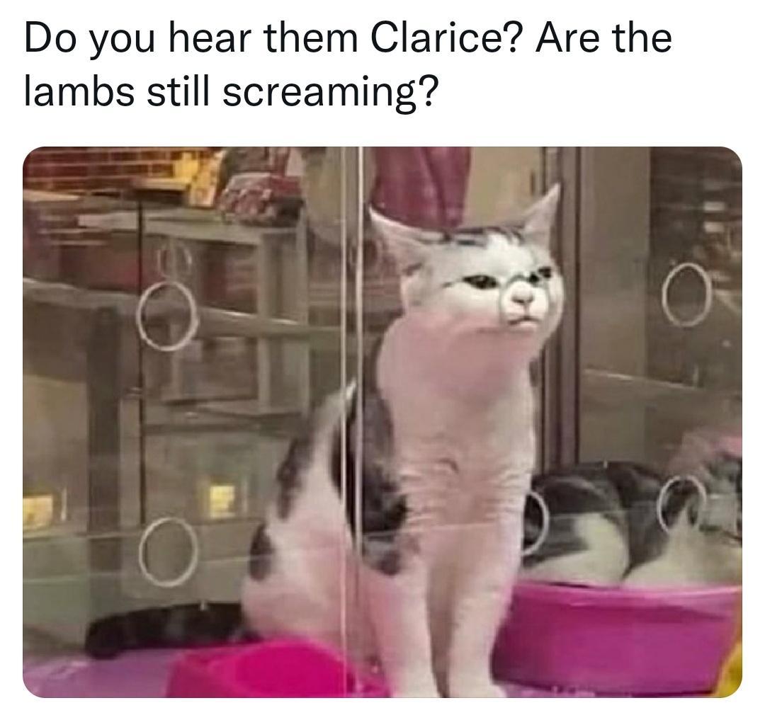 Do you hear them Clarice Are the lambs still screaming