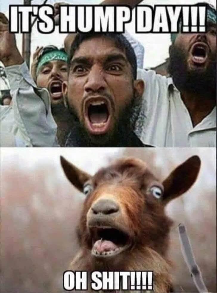IT'S HUMP DAY!!! OH SHIT!!!!