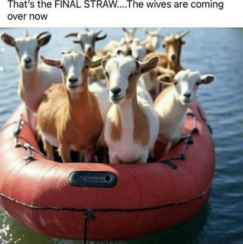 That's the FINAL STRAW....The wives are coming over now