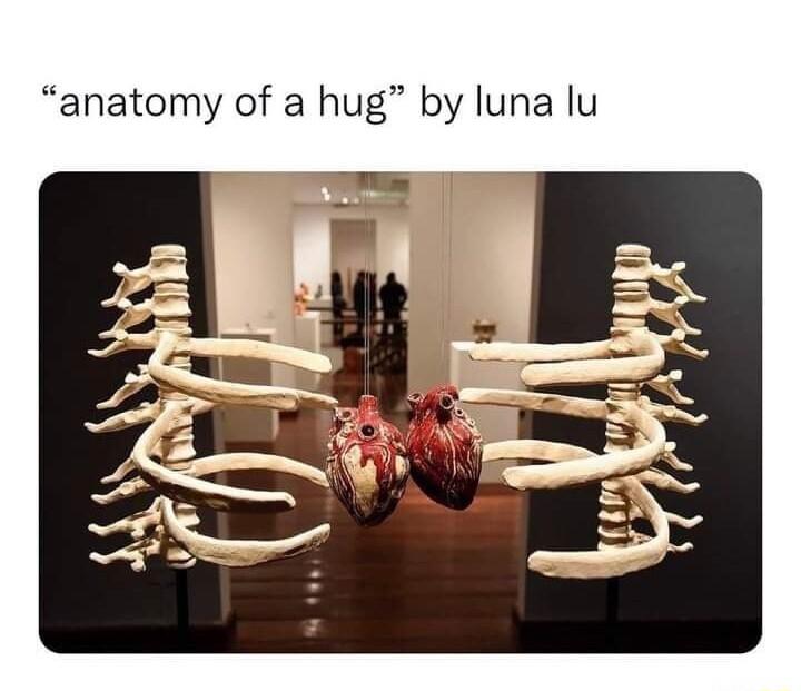 anatomy of a hug by luna lu