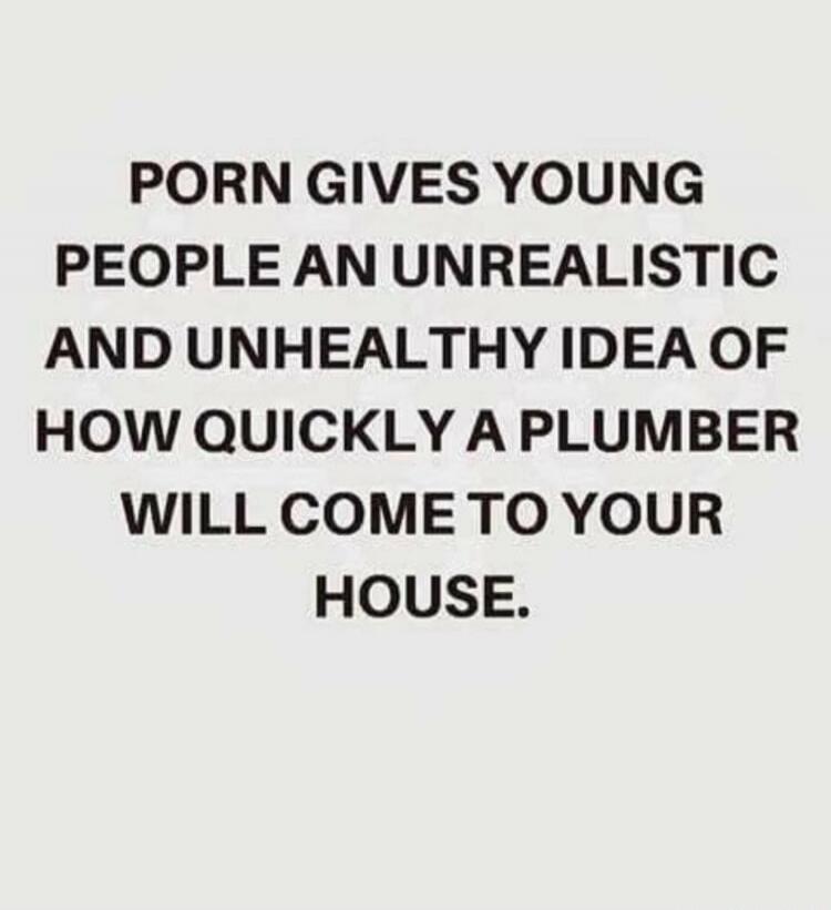 Porn gives young people an unrealistic and unhealthy idea of how quickly a plumber will come to your house.