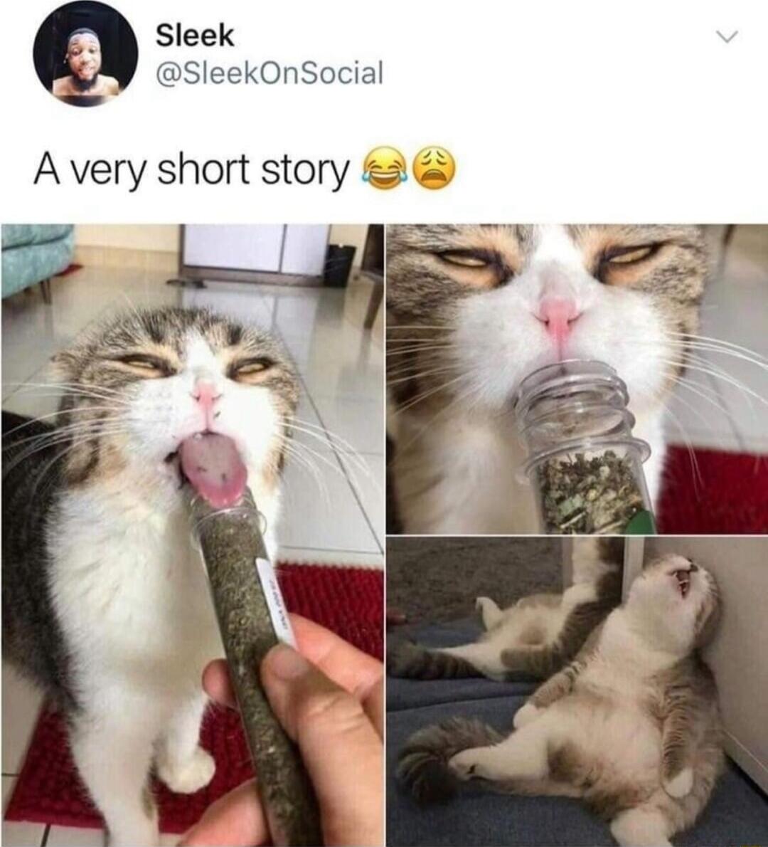 Sleek SleekOnSocial A very short story 2 i T