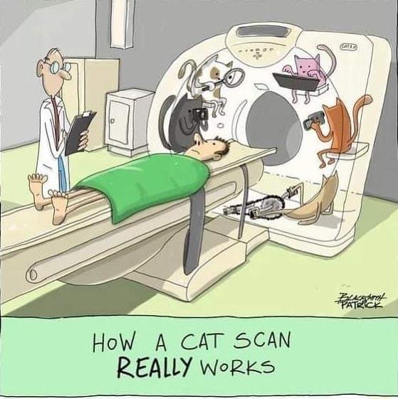 HoW A CAT SCAN REALLY WoRkS