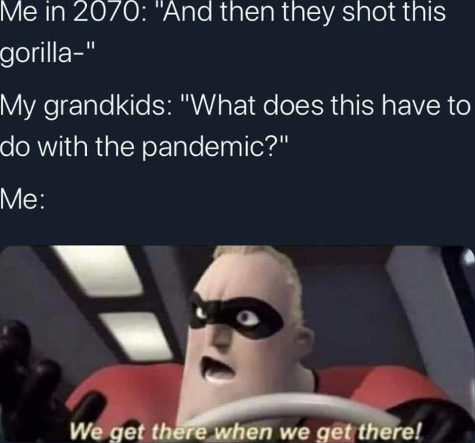 ISH s DZAOVAO e ale RialSlaRialSIAS plol M1 a1 gorilla My grandkids What does this have to do with the pandemic Me