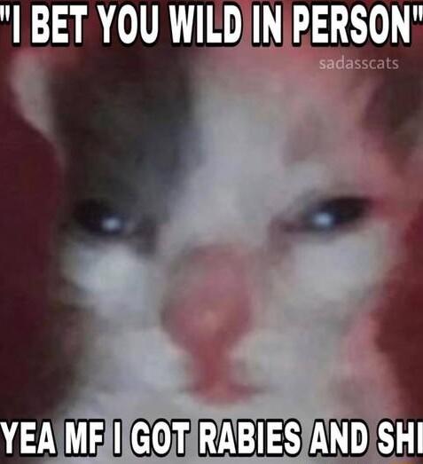 BET YOU WILDIINPERSON MFIGOTRABIESIAND