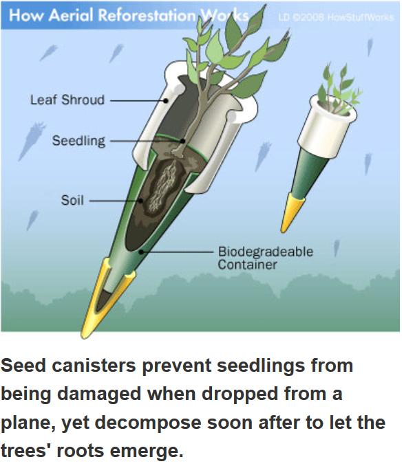 Leaf Shroud Seed canisters prevent seedlings from being damaged when dropped from a plane yet decompose soon after to let the trees roots emerge