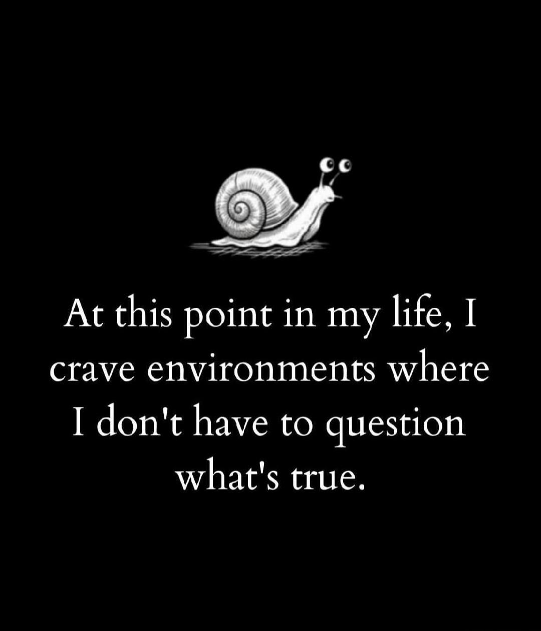 At this point in my life, I crave environments where I don't have to question what's true.