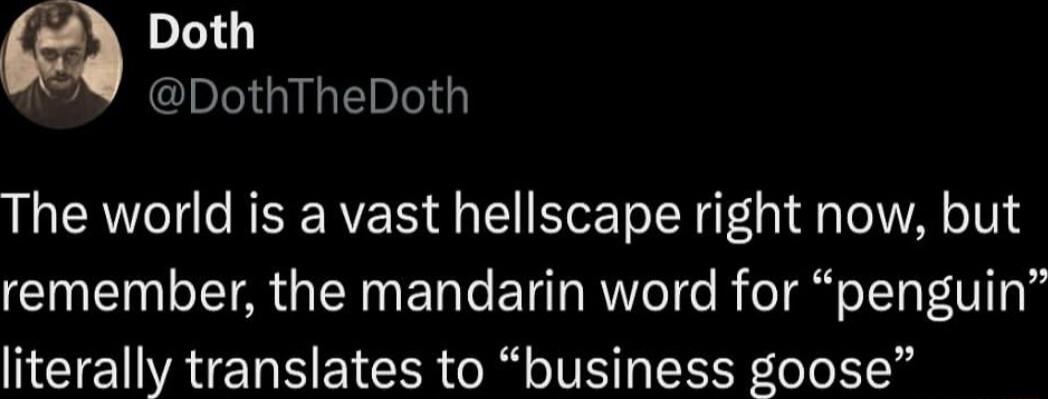 Doth b Ch I The world is a vast hellscape right now but NI G IR ET e E T RTeT e R oT TTaF U1T literally translates to business goose