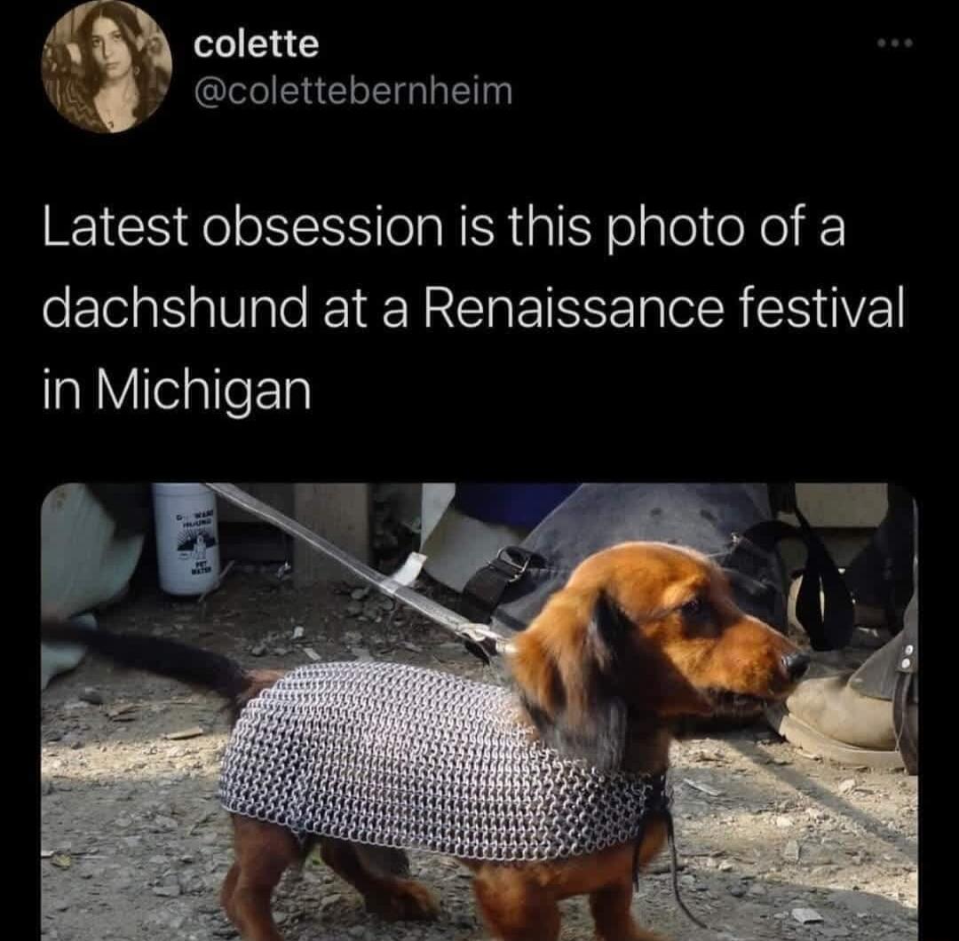 73 colette SN E Latest obsession is this photo of a dachshund at a Renaissance festival in Michigan