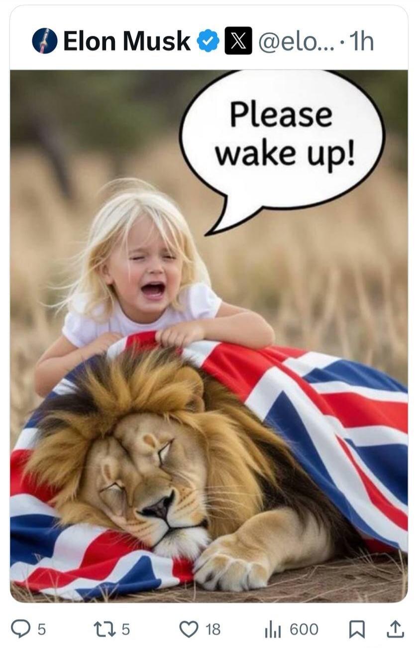 Elon Musk tweet image: a child crying over a sleeping lion draped in a Union Jack flag with a speech bubble saying “Please wake up!”.