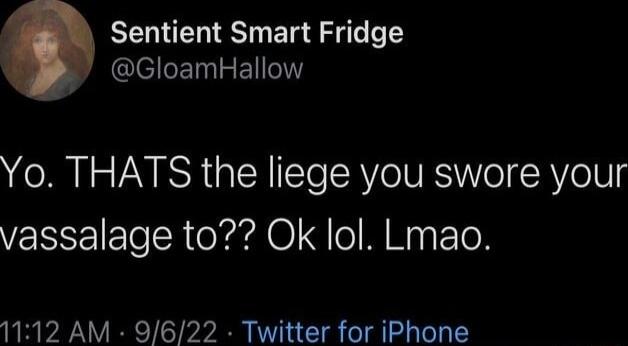 Sentient Smart Fridge lellERENY Yo THATS the liege you swore your vassalage to Ok lol Lmao 1112 AM 9622 Twitter for iPhone