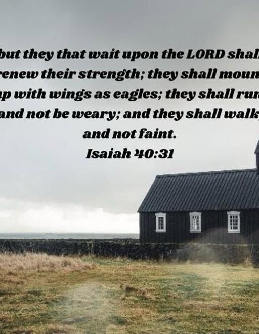 but they that wait upon the LORD shall renew their strength; they shall mount up with wings as eagles; they shall run, and not be weary; and they shall walk, and not faint. Isaiah 40:31