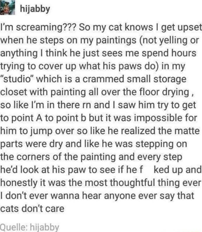 hijabby Im screaming So my cat knows get upset when he steps on my paintings not yelling or anything think he just sees me spend hours trying to cover up what his paws do in my studio which is a crammed small storage closet with painting all over the floor drying so like Im in there rn and saw him try to get to point A to point b but it was impossible for him to jump over so like he realized the m
