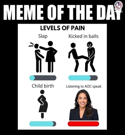 MEME OF THE DAY LEVELS OF PAIN Slap Kicked in balls Child birth Listening to AOC speak